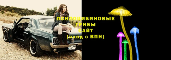 a pvp Белокуриха