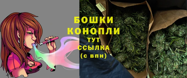 a pvp Белокуриха