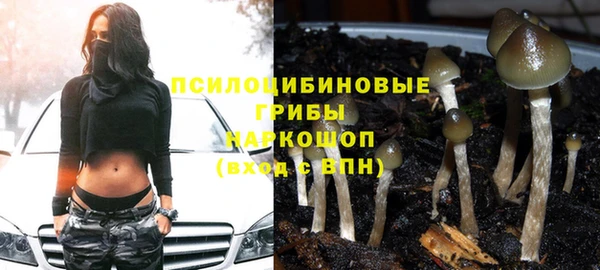 герыч Беломорск