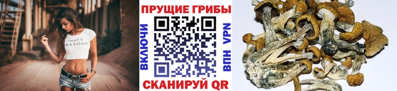 Псилоцибиновые грибы MAGIC MUSHROOMS Пестово