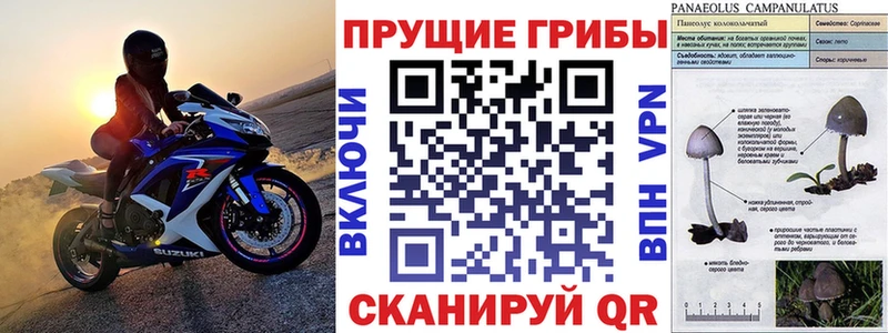 Галлюциногенные грибы Cubensis  Пестово 